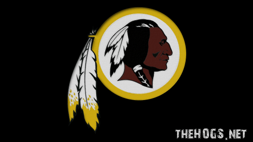 Redskins Logo On Canvas